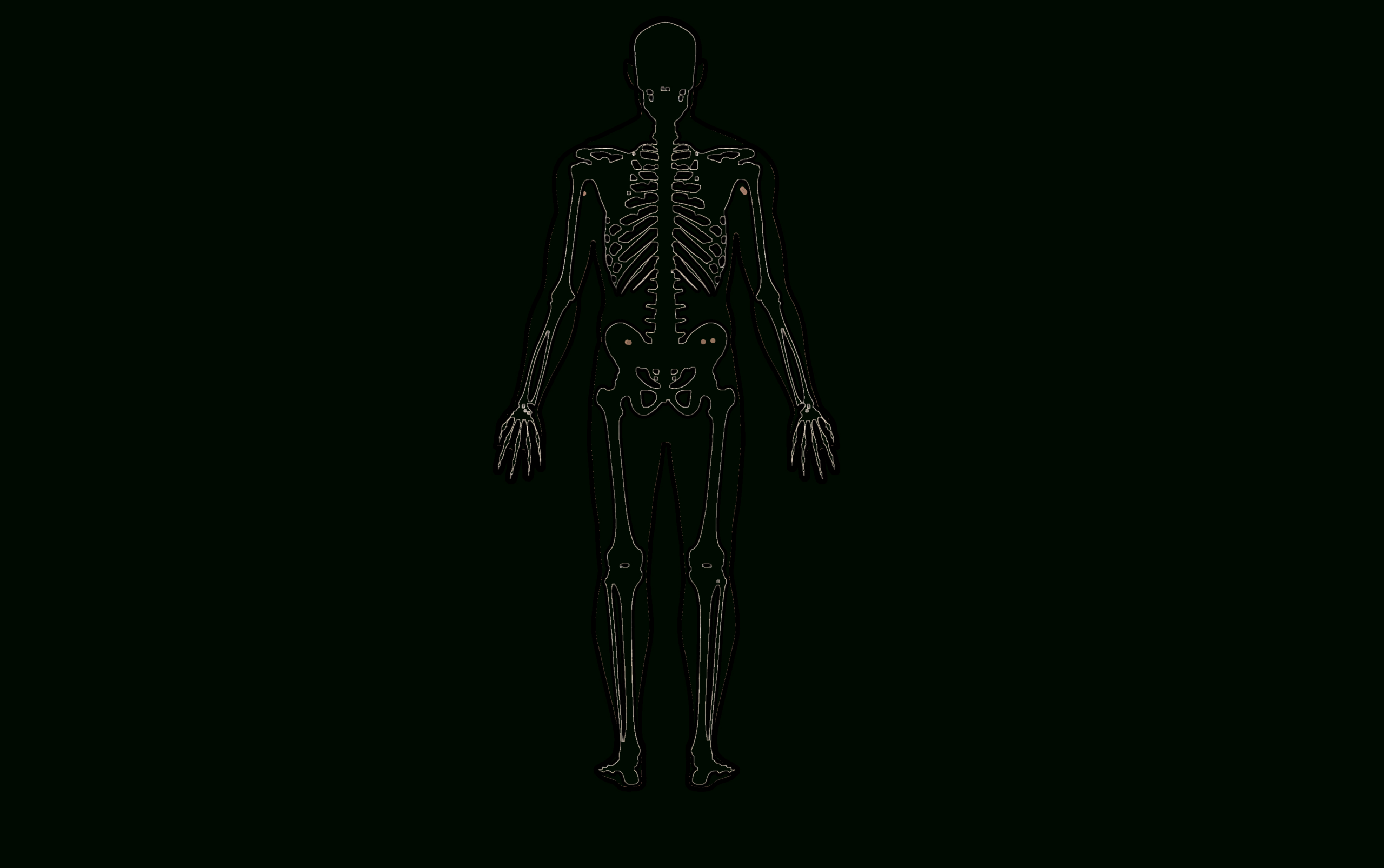 File:human Body Template - Wikimedia Commons pertaining to Outline of a Human Body Printable