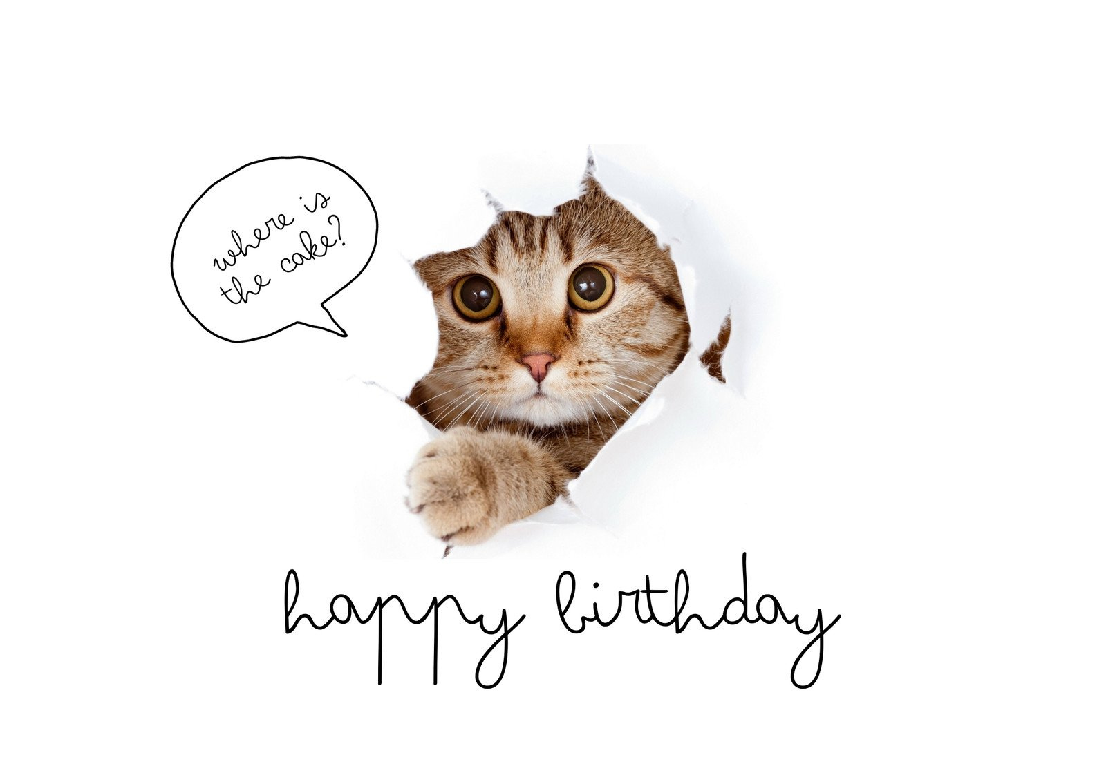 Free Printable Funny Birthday Card Templates | Canva inside Funny Mens Birthday Cards Printable