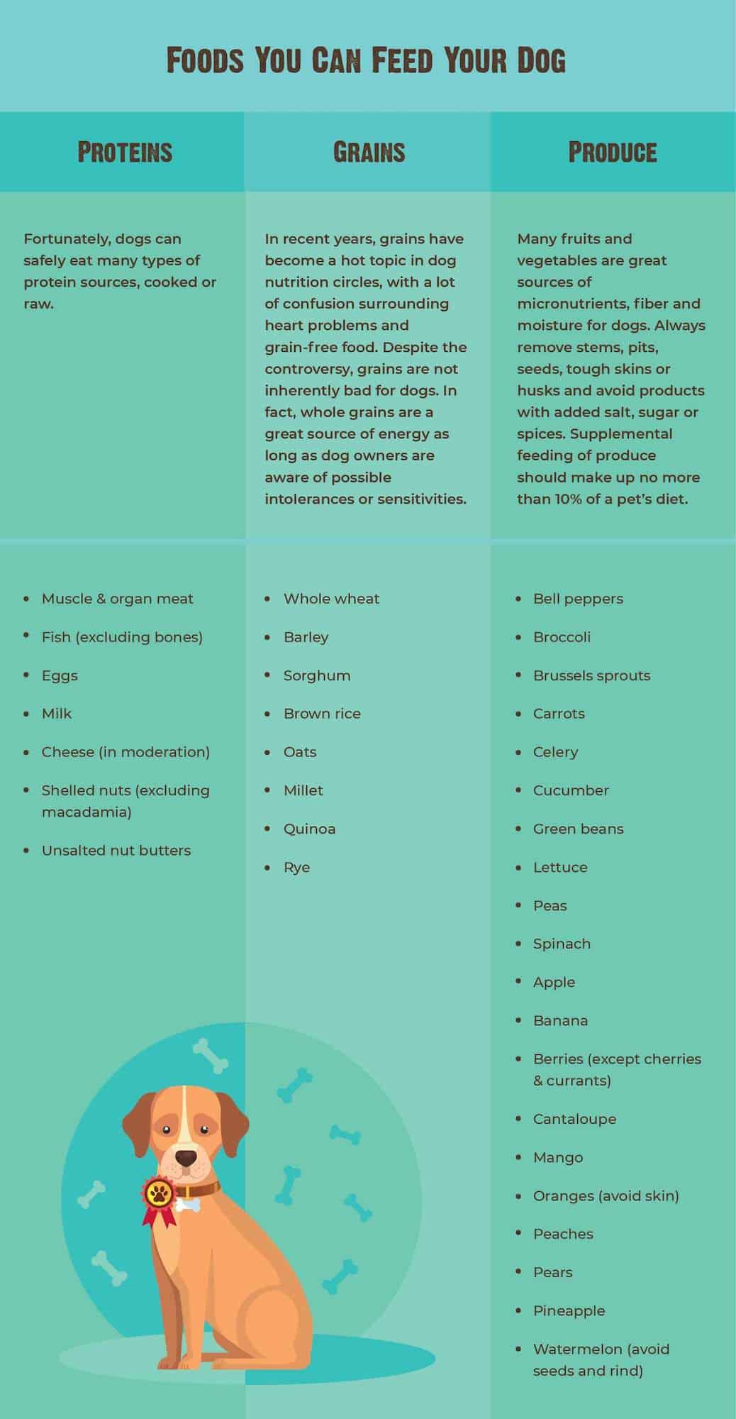 Human Foods Dogs Can And Can&amp;#039;T Eat [With Chart] - Rawz pertaining to Printable Foods Dogs Can Eat