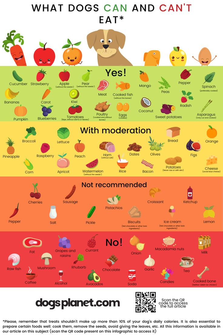 Of Doggie Dos And Don&#039;Ts The Ultimate Guide To What Dogs Can And throughout Printable Foods Dogs Can Eat