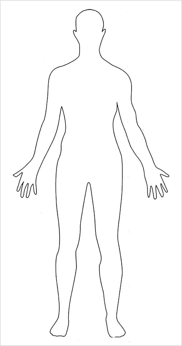 Printable Outline Of A Body : Blank Diagram Anatomy Anatomical regarding Outline Of A Human Body Printable