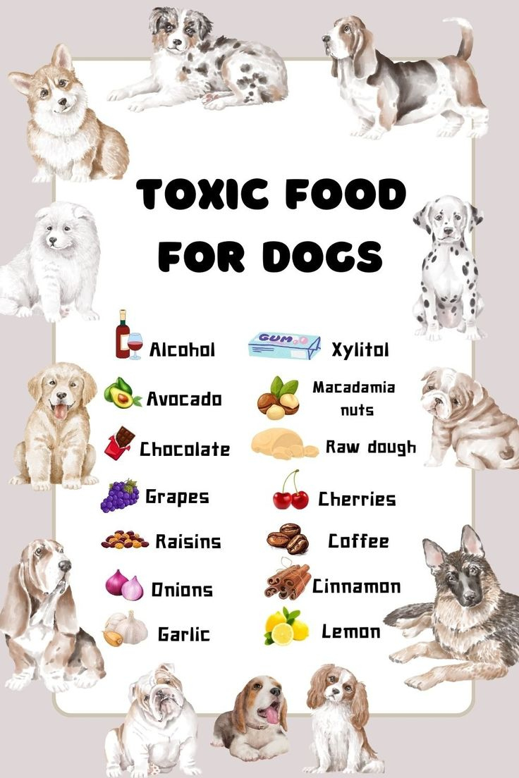 Toxic Foods For Dogs Printable inside Toxic Foods For Dogs Printable