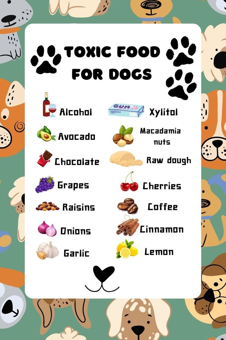 Toxic Foods For Dogs Printable throughout Toxic Foods For Dogs Printable