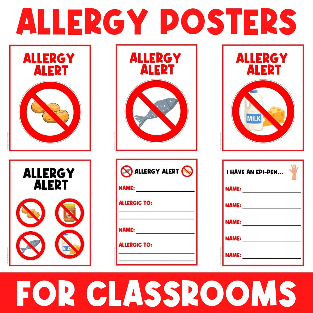 Allergy Alert  Classroom Poster Signs  Decor  Visual