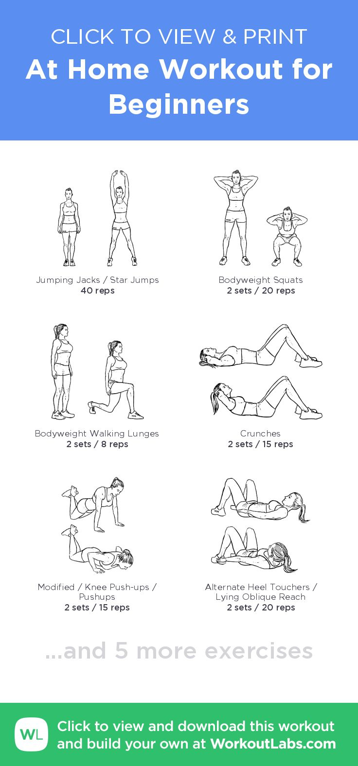 At Home Workout for Beginners · Free workout by WorkoutLabs Fit