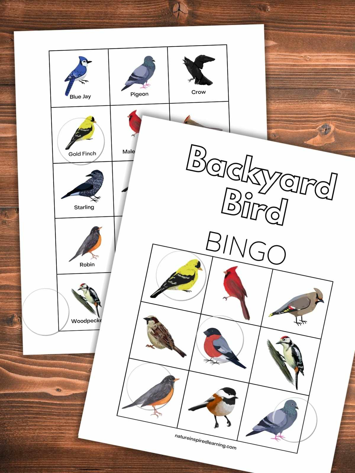 Backyard Bird Bingo Game (Printable) - Nature Inspired Learning