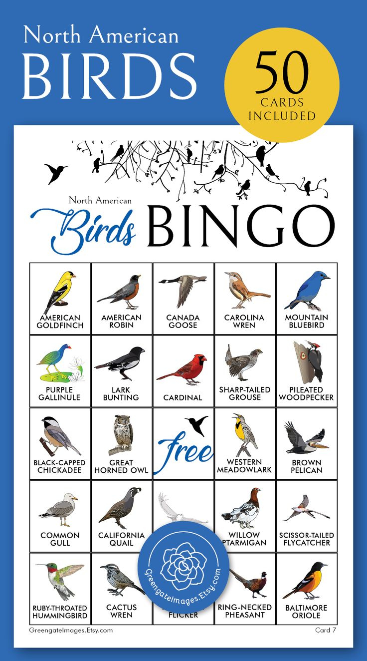 Bird Bingo Cards: Printable Bingo,  Cards, Senior Citizen