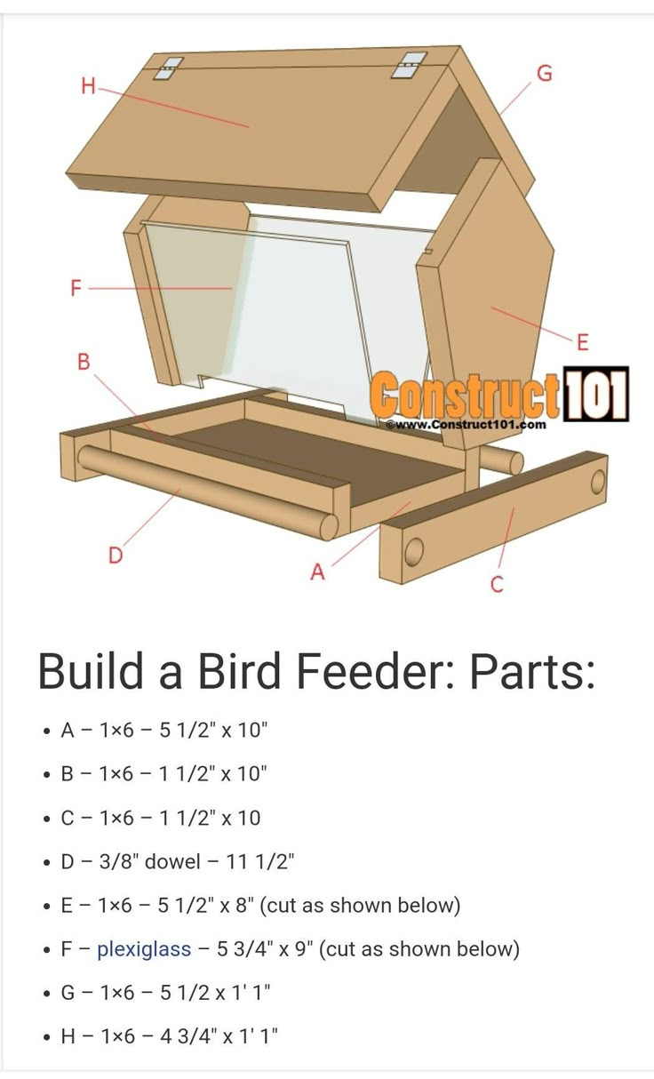 Bird Feeder Plans