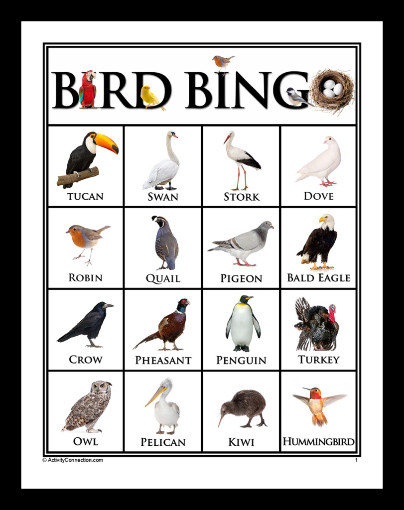 Bird Picture Bingo (Printable) - Activity Connection