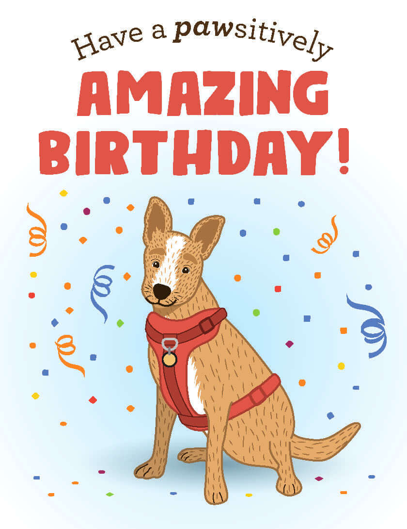 Birthday Cards for Kids  PETA Kids