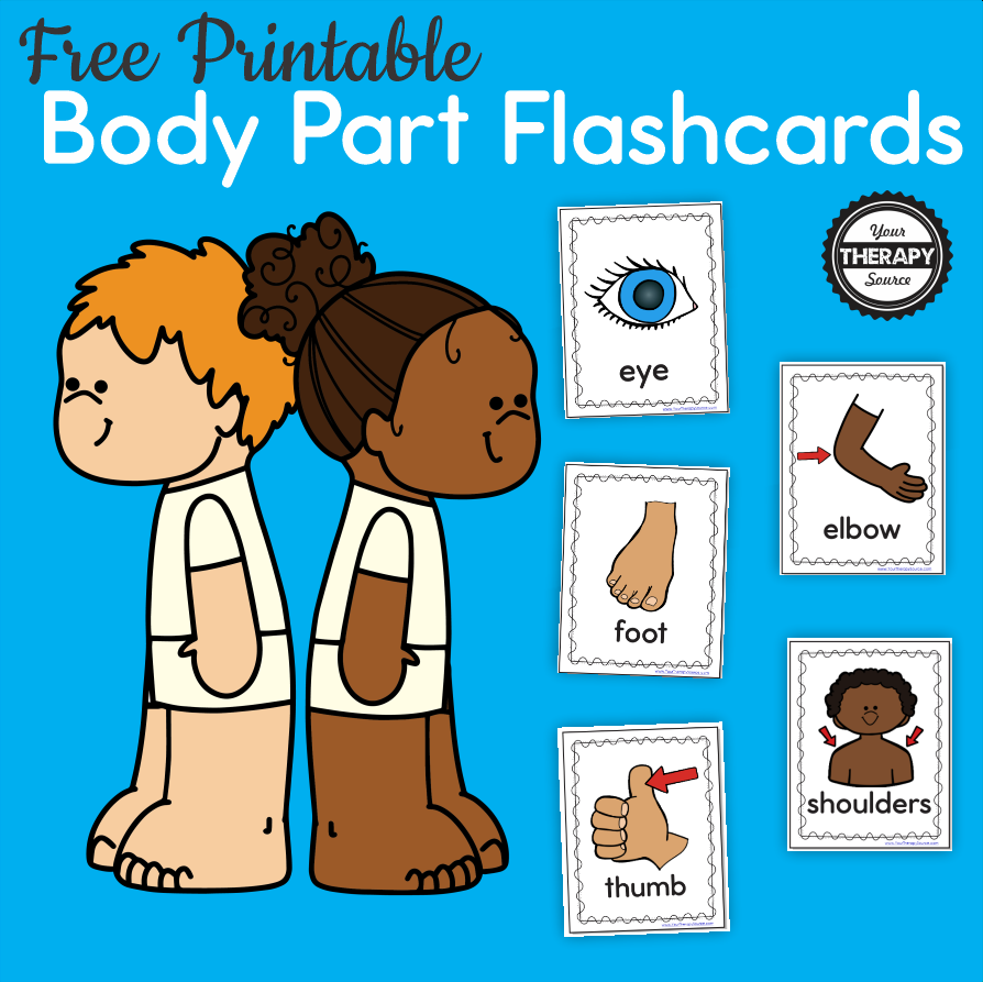 Body Part Flashcards - Free Printables - Your Therapy Source