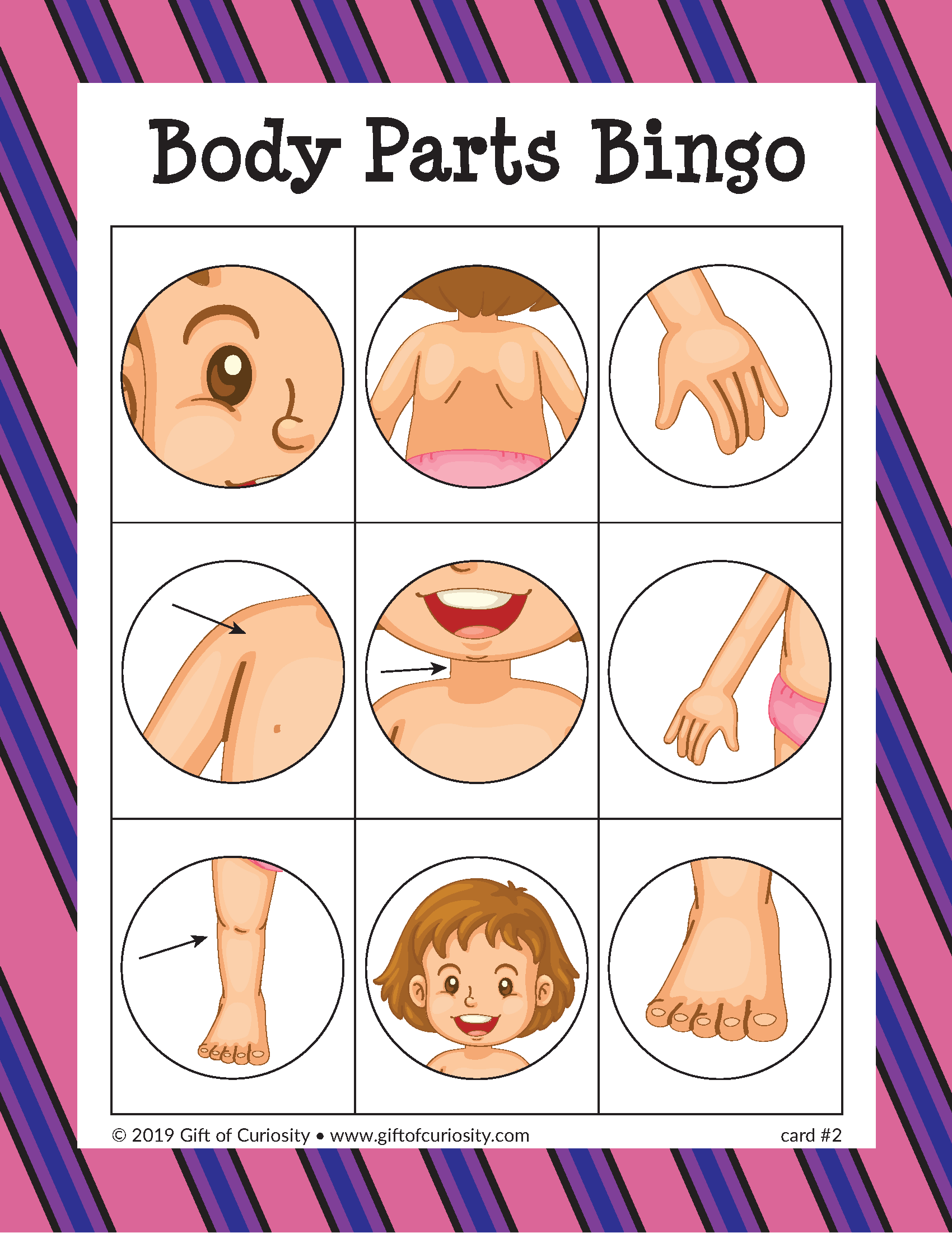 Body Parts Bingo - Gift of Curiosity Body Parts Bingo - Gift of Curiosity