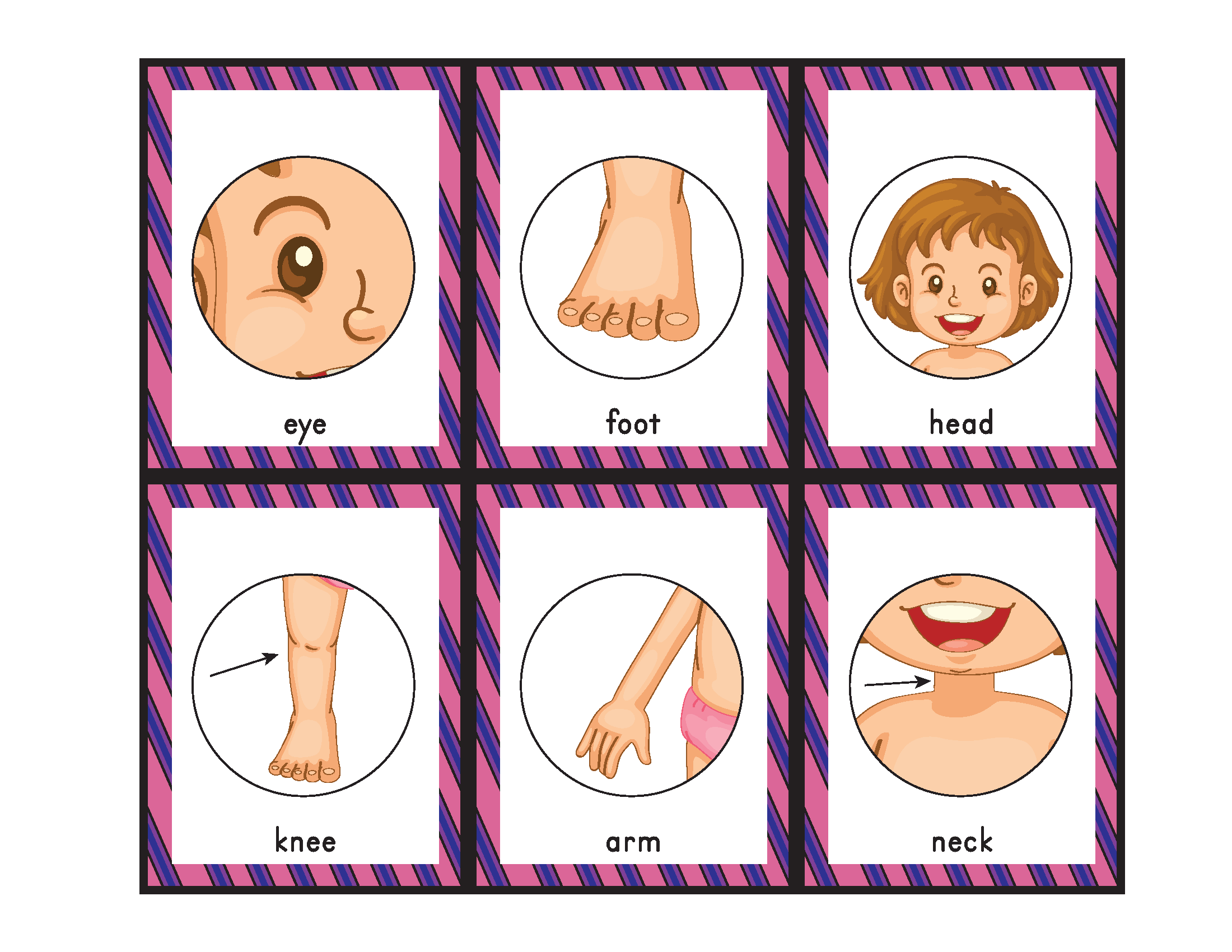 Body Parts Bingo - Gift of Curiosity Body Parts Bingo - Gift of Curiosity
