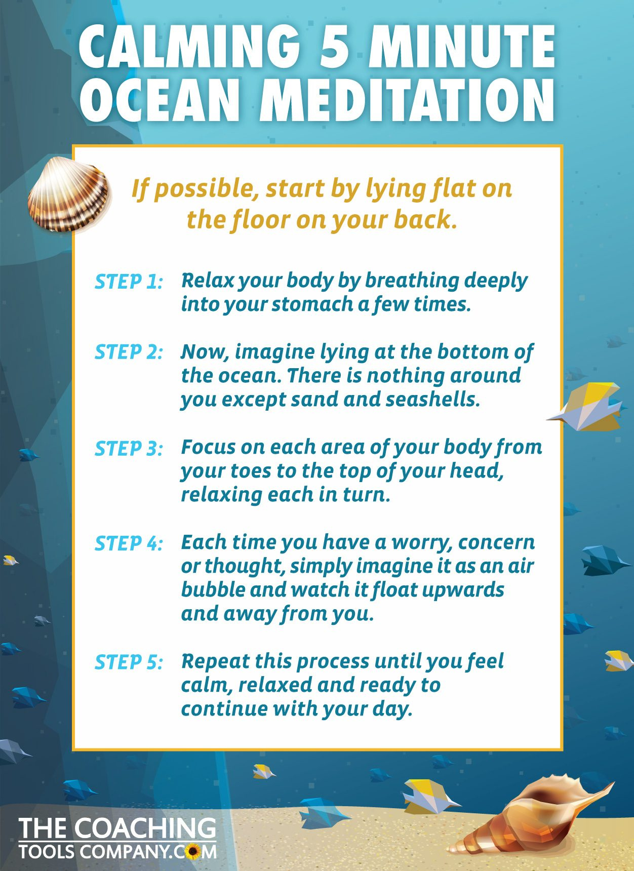 Calming Ocean Minute Meditation GRAPHIC The Launchpad - The Calming Ocean Minute Meditation GRAPHIC The Launchpad - The