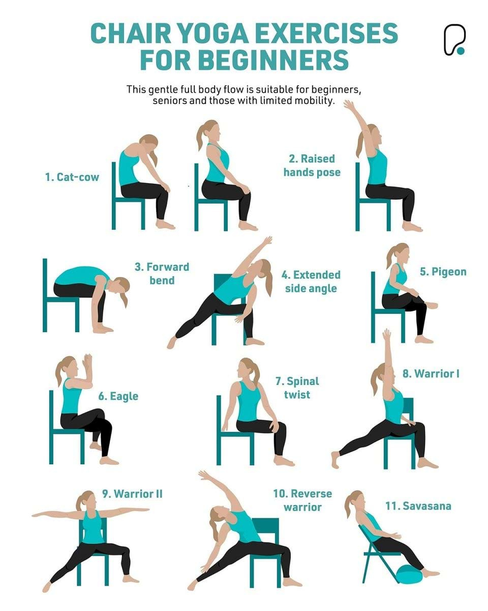Chair Yoga Exercises For Beginners And Seniors  PureGym