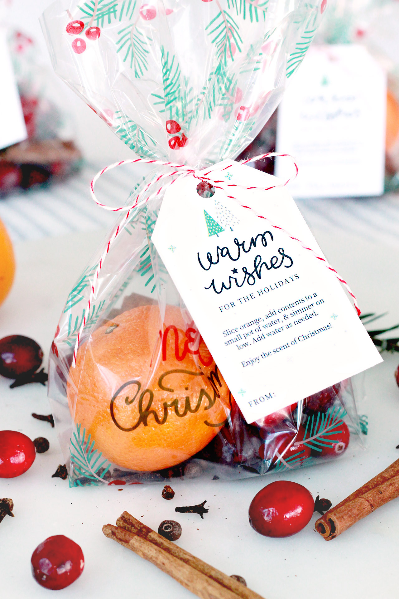 Christmas simmer pot neighbor gift (with free printable tags Christmas simmer pot neighbor gift (with free printable tags
