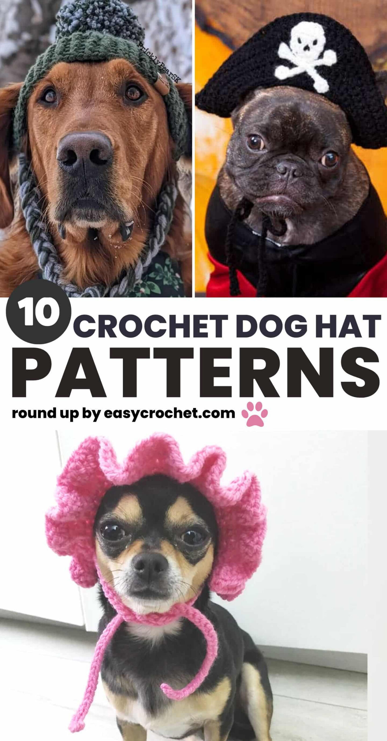 Cute Crochet Dog Hat Patterns to Make For Your Pup - Easy