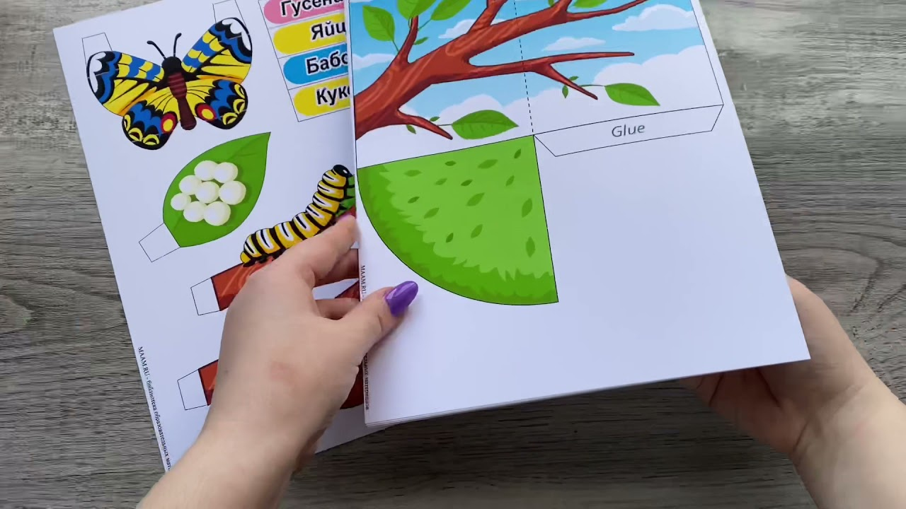 d Butterfly Life Cycle Printables Craft. TeachersMag