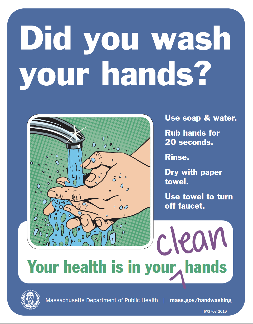 Did You Wash Your Hands? Poster - Multiple Languages