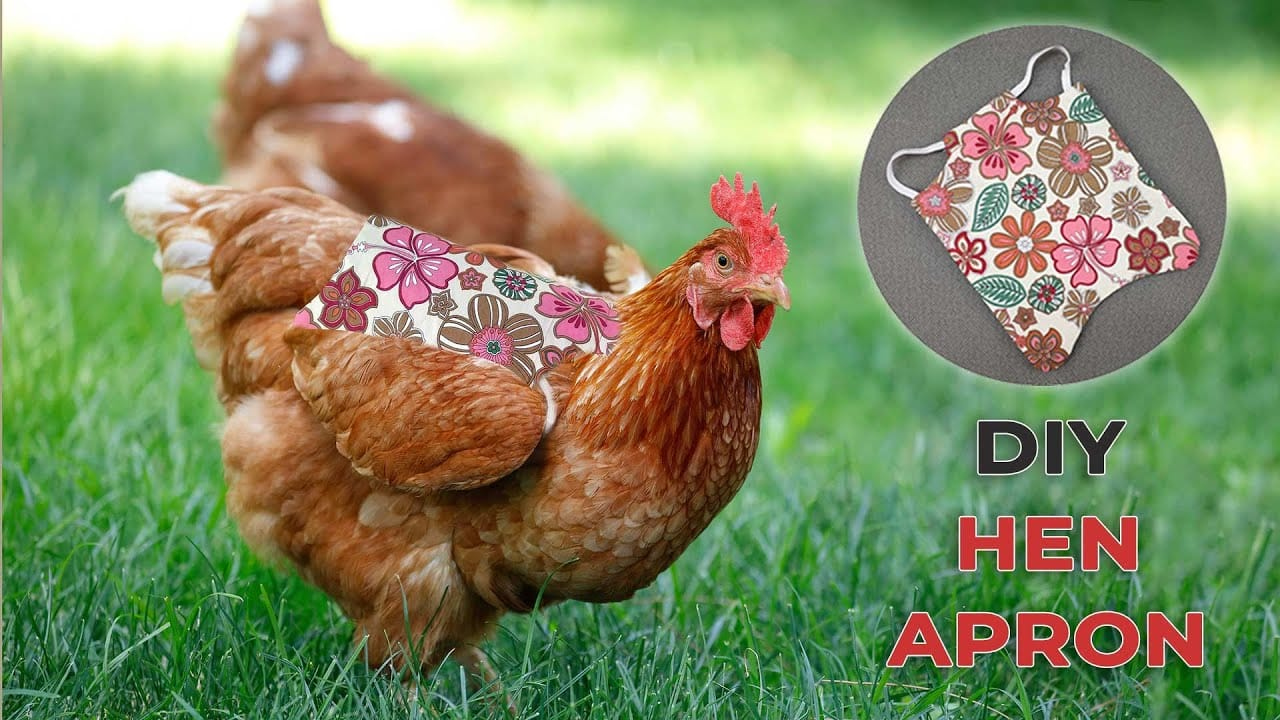 DIY Chicken Saddle - FREE Hen Apron Pattern