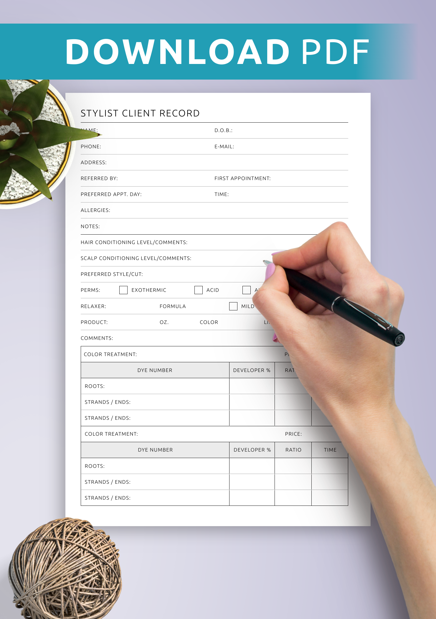 Download Printable Stylist Client Record PDF