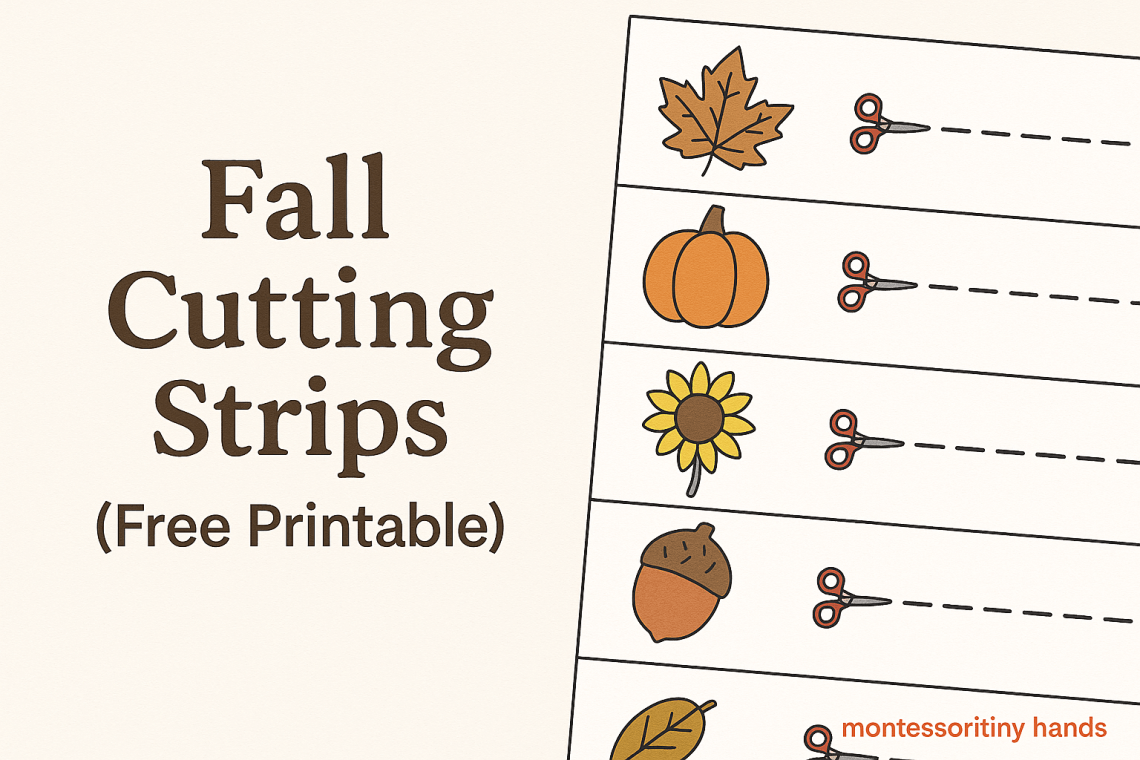 Fall Cutting Strips for Toddlers (Free Montessori Printable)