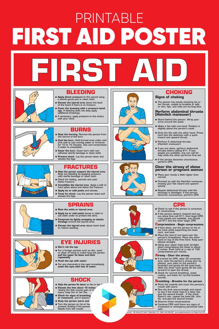 First Aid Poster -  Free PDF Printables  Printablee