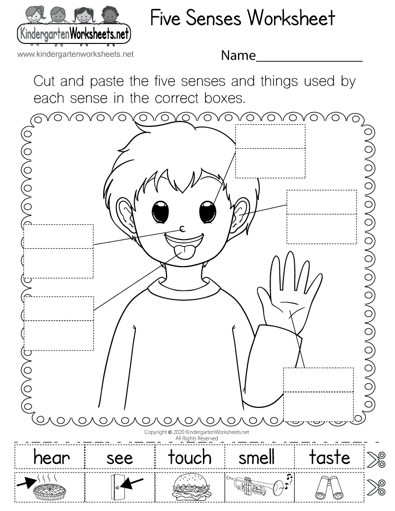 Five Senses Worksheet - Free Printable, Digital, & PDF Five Senses Worksheet - Free Printable, Digital, & PDF