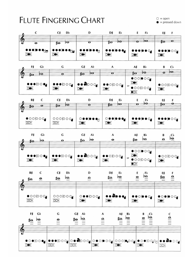 Flute Fingering Chart  PDF