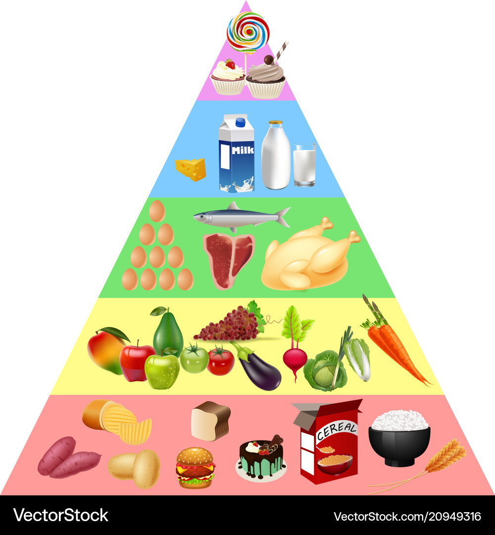 Food Pyramid Chart - Nutrition Guide – Royalty-Free Vector