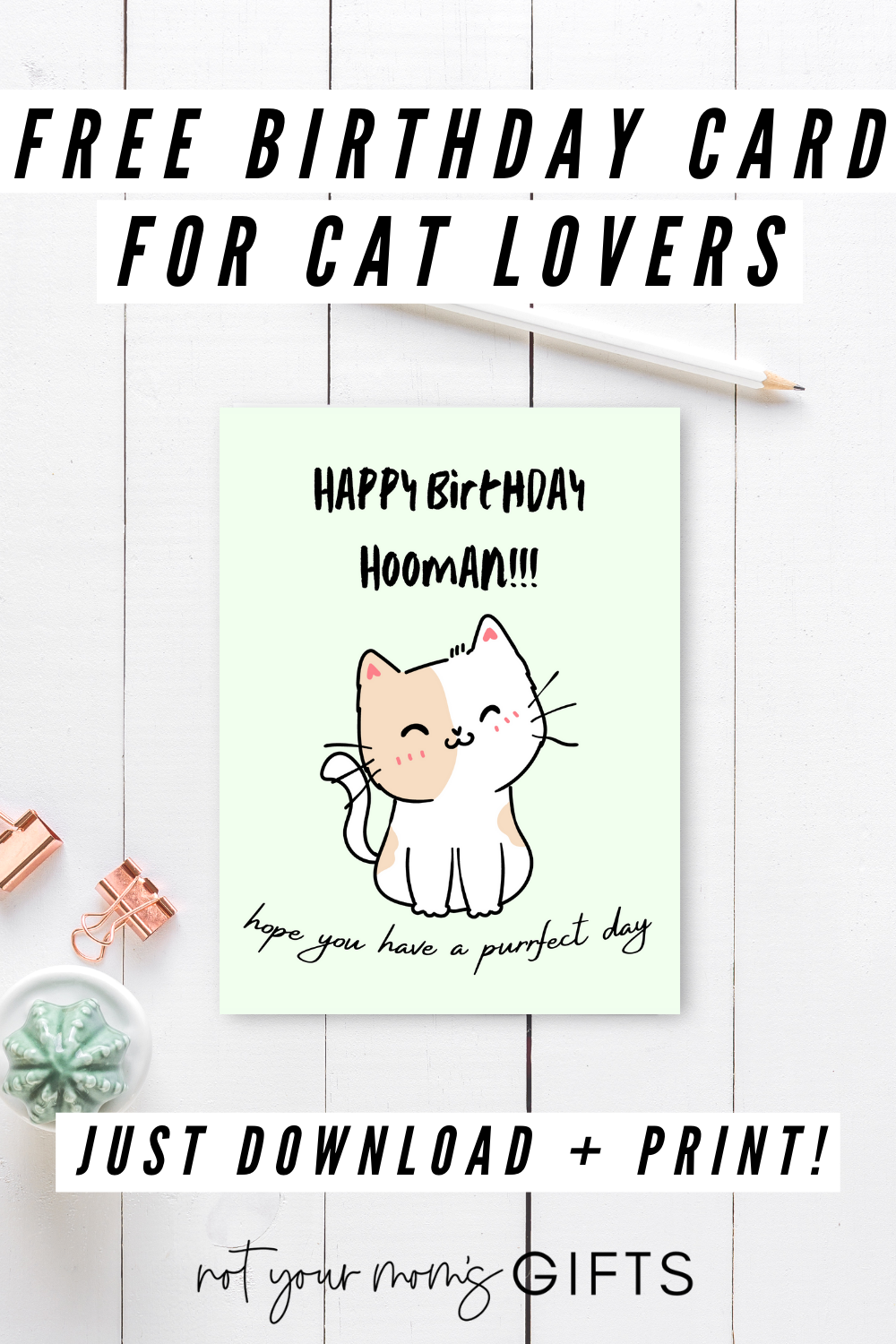 Free Birthday Card for Cat Lovers  Not Your Mom