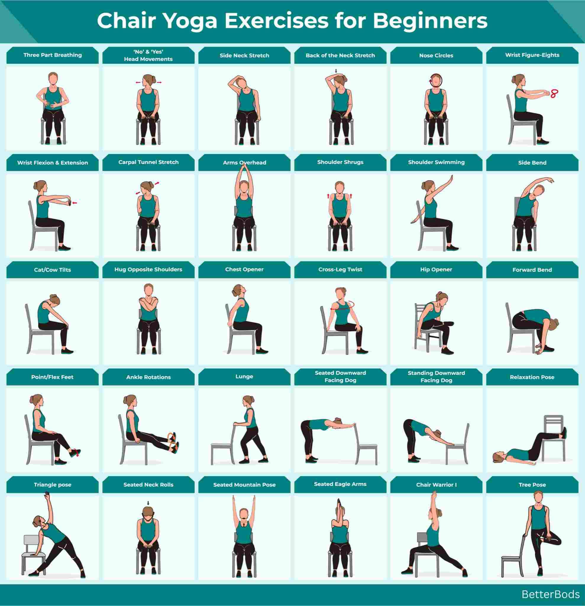 Free Chair Exercises For Seniors Pdf Exercises Pdf Printable Chair
