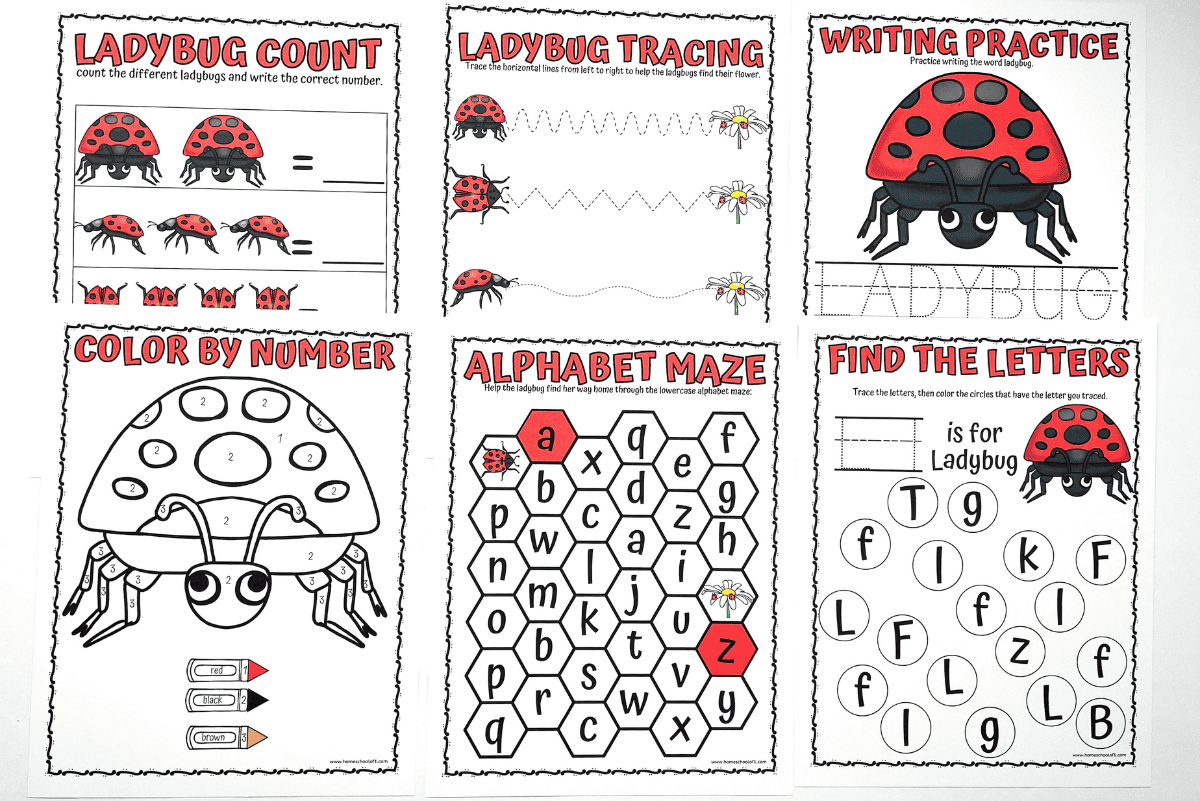 Free Ladybug Worksheets for Preschool Kids Free Ladybug Worksheets for Preschool Kids