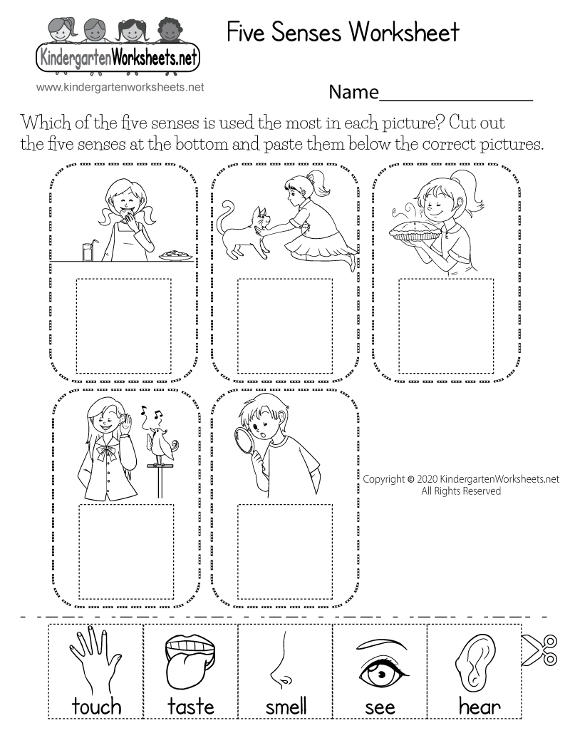 Free Printable Cut-and-Paste Five Senses Worksheet
