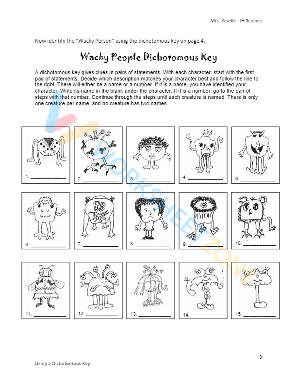 Free Printable Dichotomous Key Worksheet Collection - Worksheets