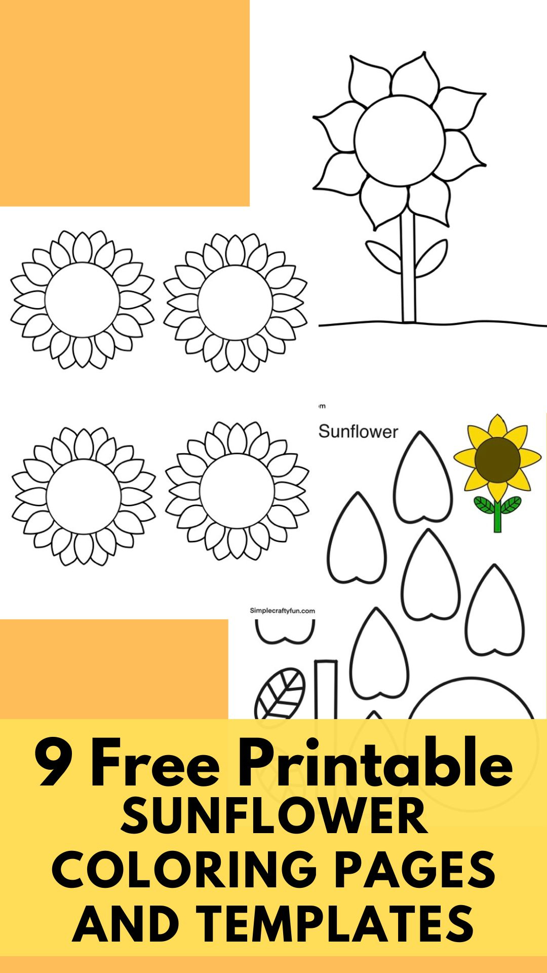 Free Printable Sunflower Pdf Template -