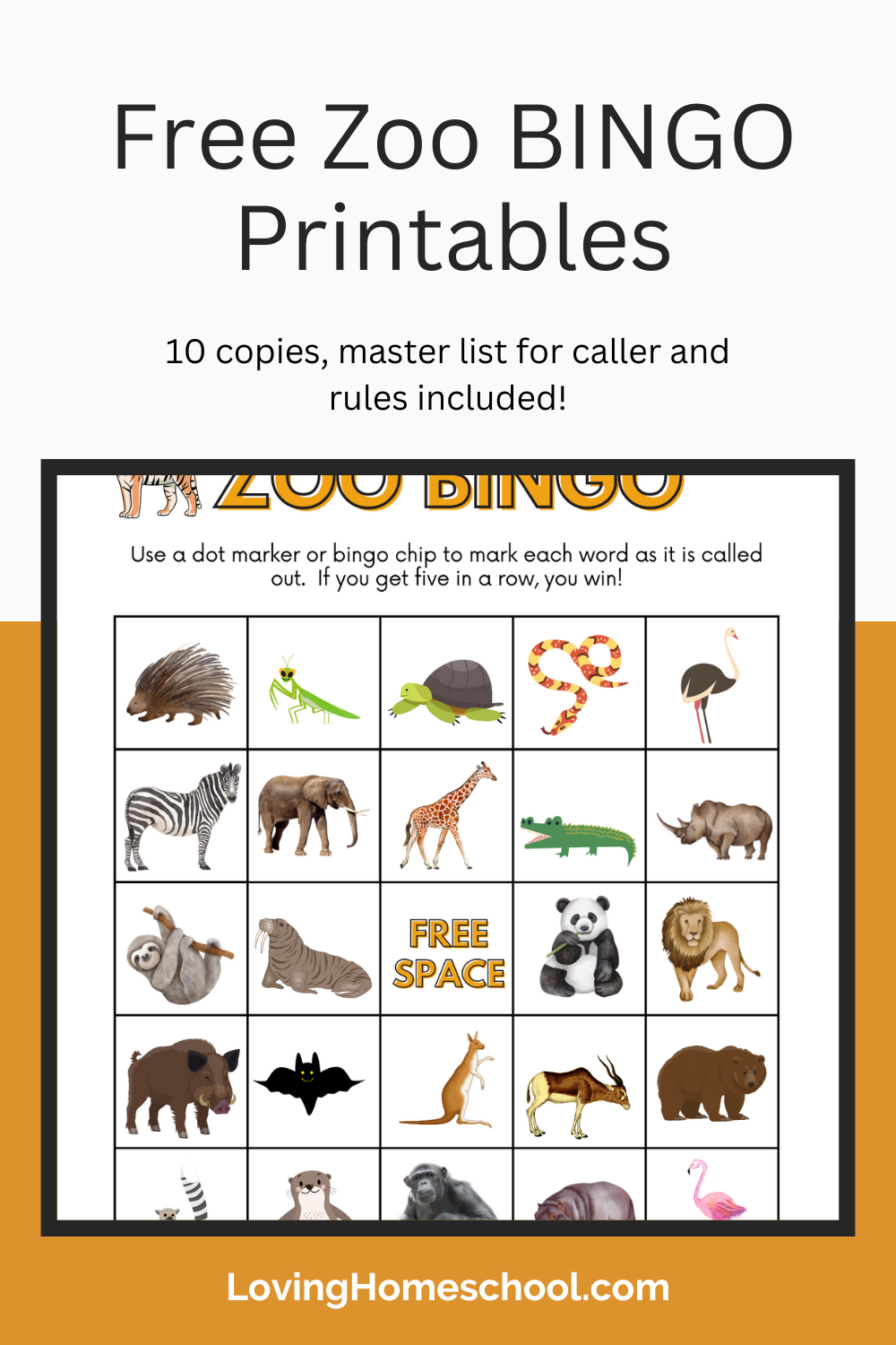 Free Zoo BINGO Printables - LovingHomeschool