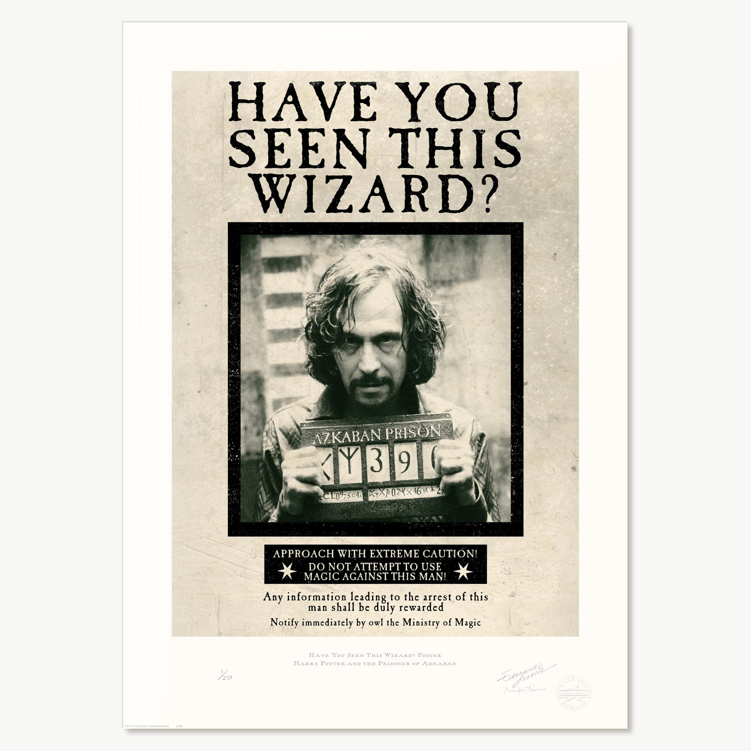 Have You Seen This Wizard?