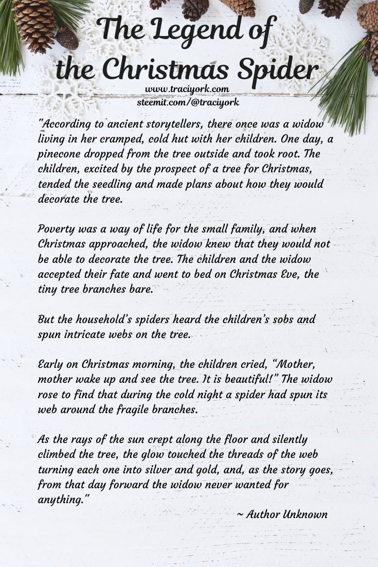 Legend of the Christmas Spider