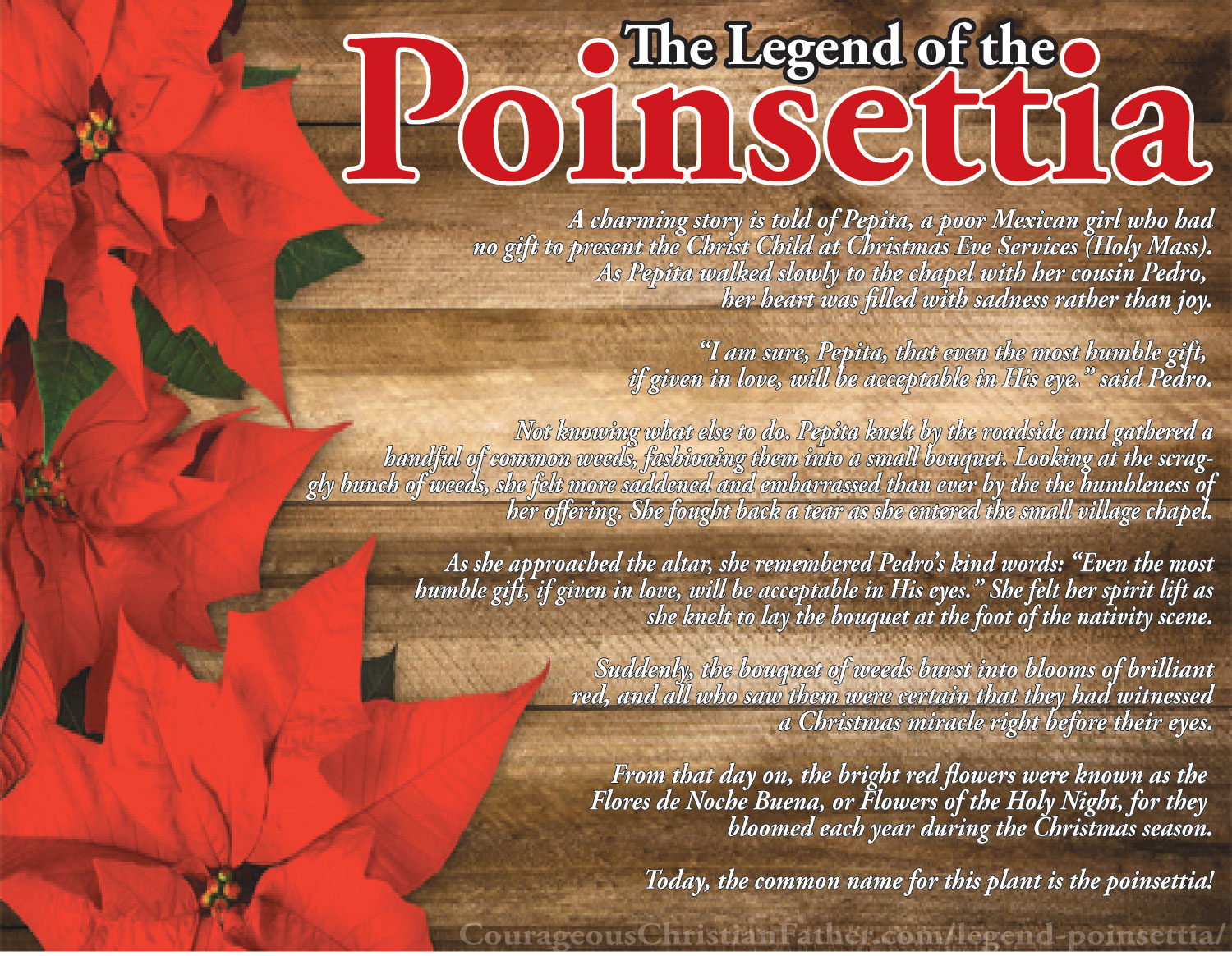 Legend of the Poinsettia - Courageous Christian Father Legend of the Poinsettia - Courageous Christian Father
