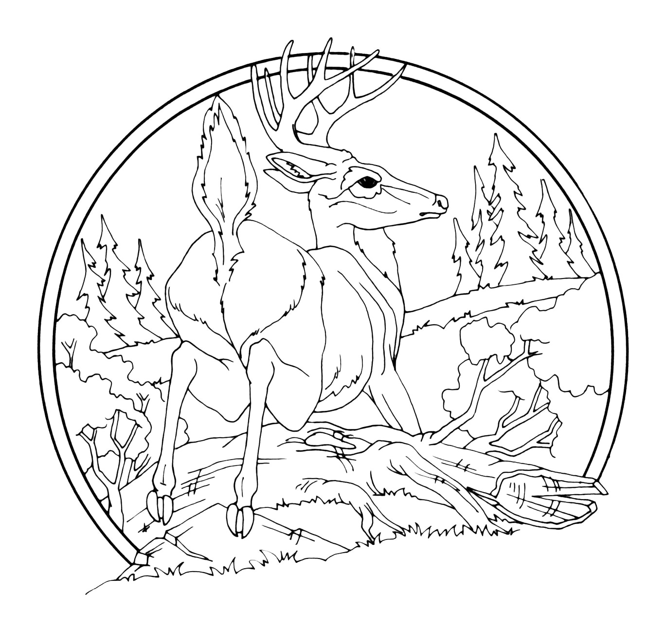 Low-Relief Animal Scenes - Woodcarving Illustrated