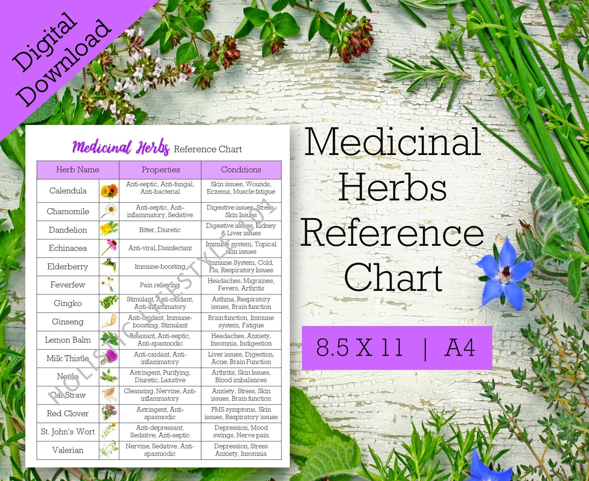 Medicinal Herbs Reference Chart, List of Herbs Printable, Herbal