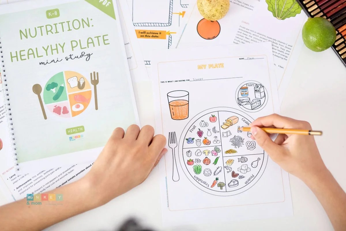 My Healthy Plate Worksheets  Nutrition Printables
