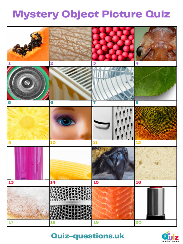 Mystery Object Picture Quiz  PDF