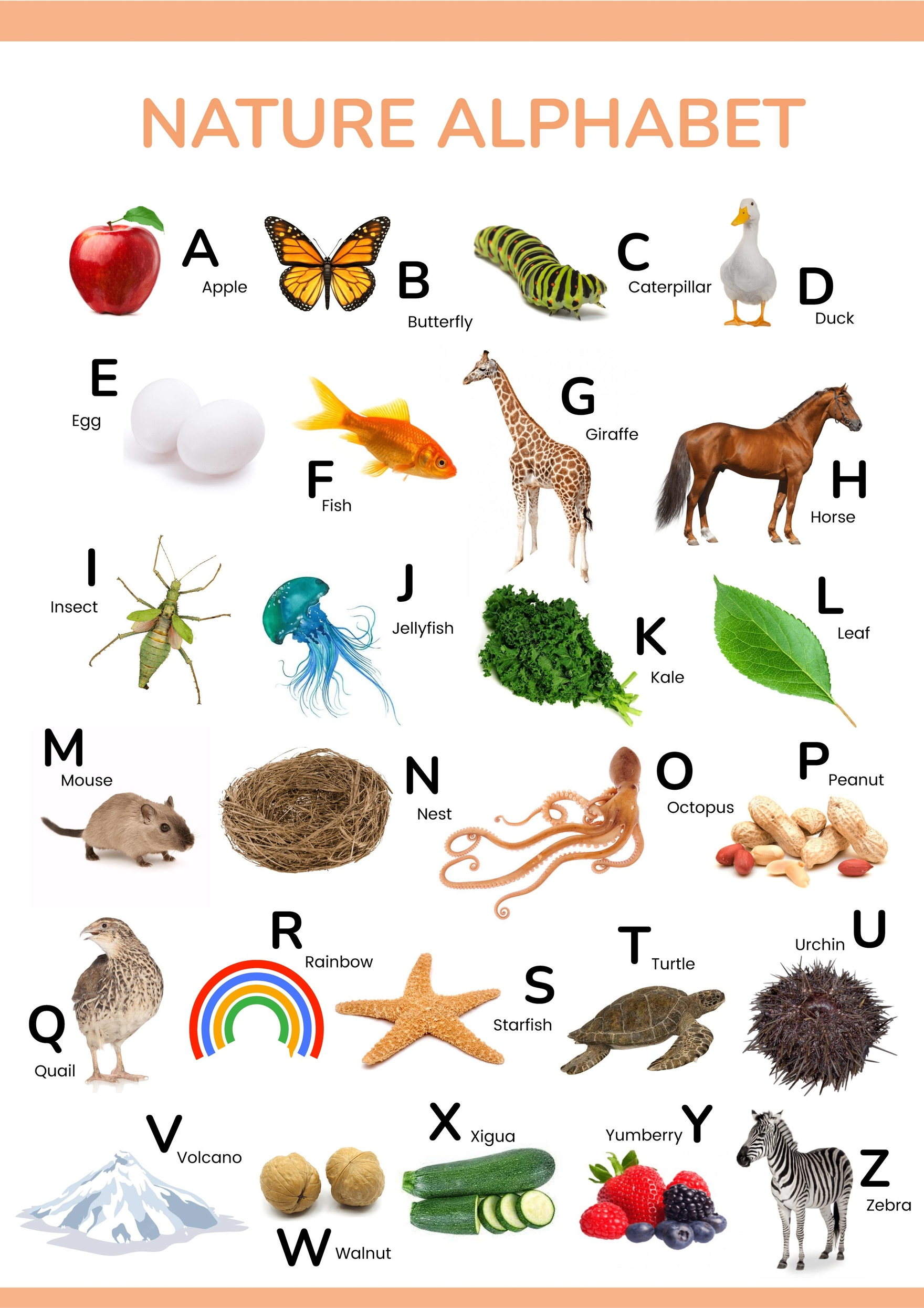 Nature Alphabet Chart in Illustrator, PDF - Download Template Nature Alphabet Chart in Illustrator, PDF - Download Template