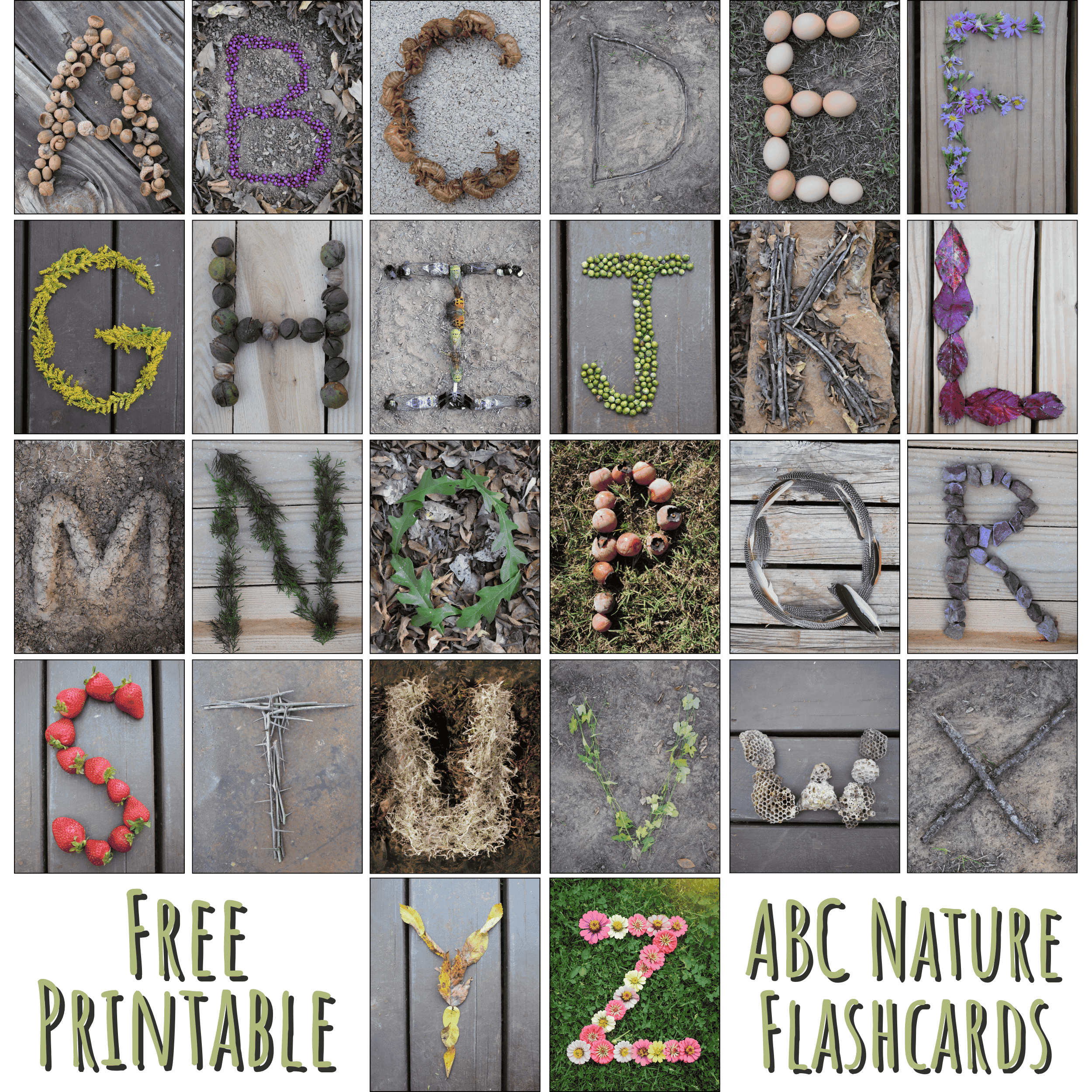 Nature-Themed Free Printable ABC Flashcards - Little Mager House Nature-Themed Free Printable ABC Flashcards - Little Mager House