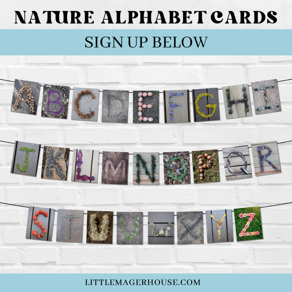 Nature-Themed Free Printable ABC Flashcards - Little Mager House Nature-Themed Free Printable ABC Flashcards - Little Mager House