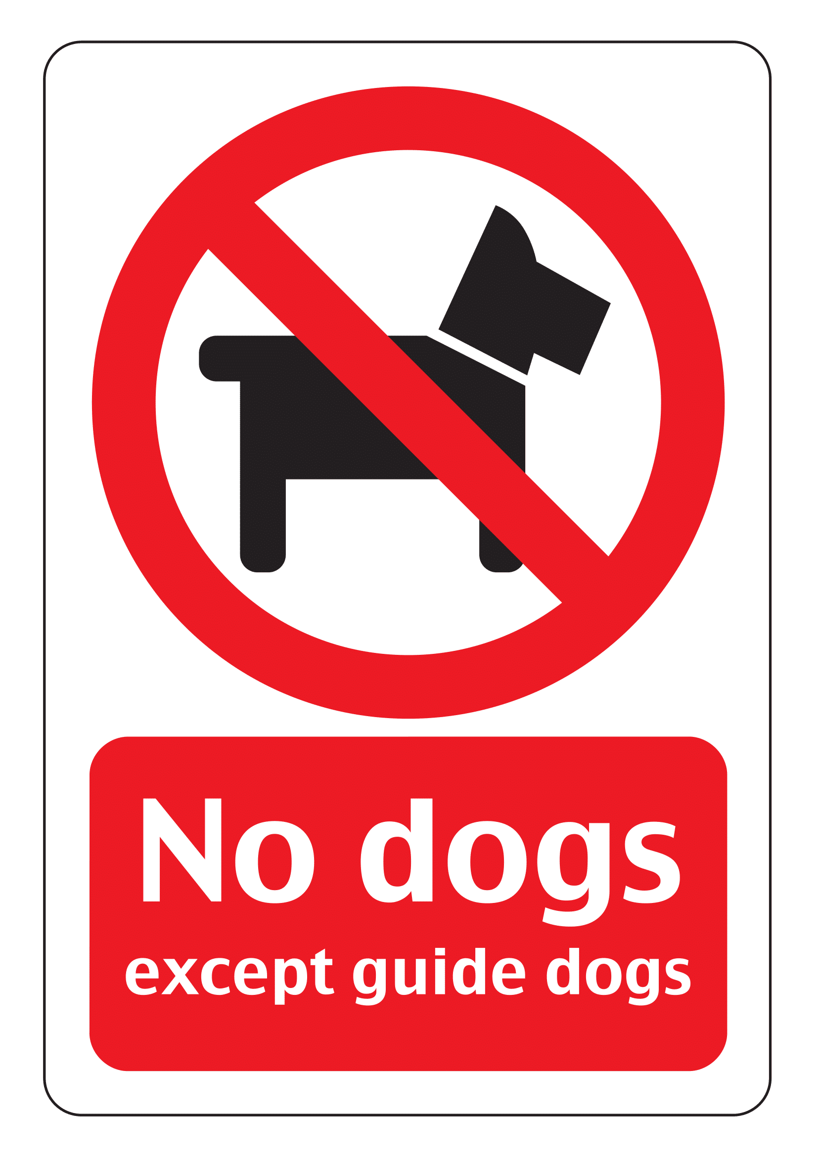 No Dog Signs  Poster Template