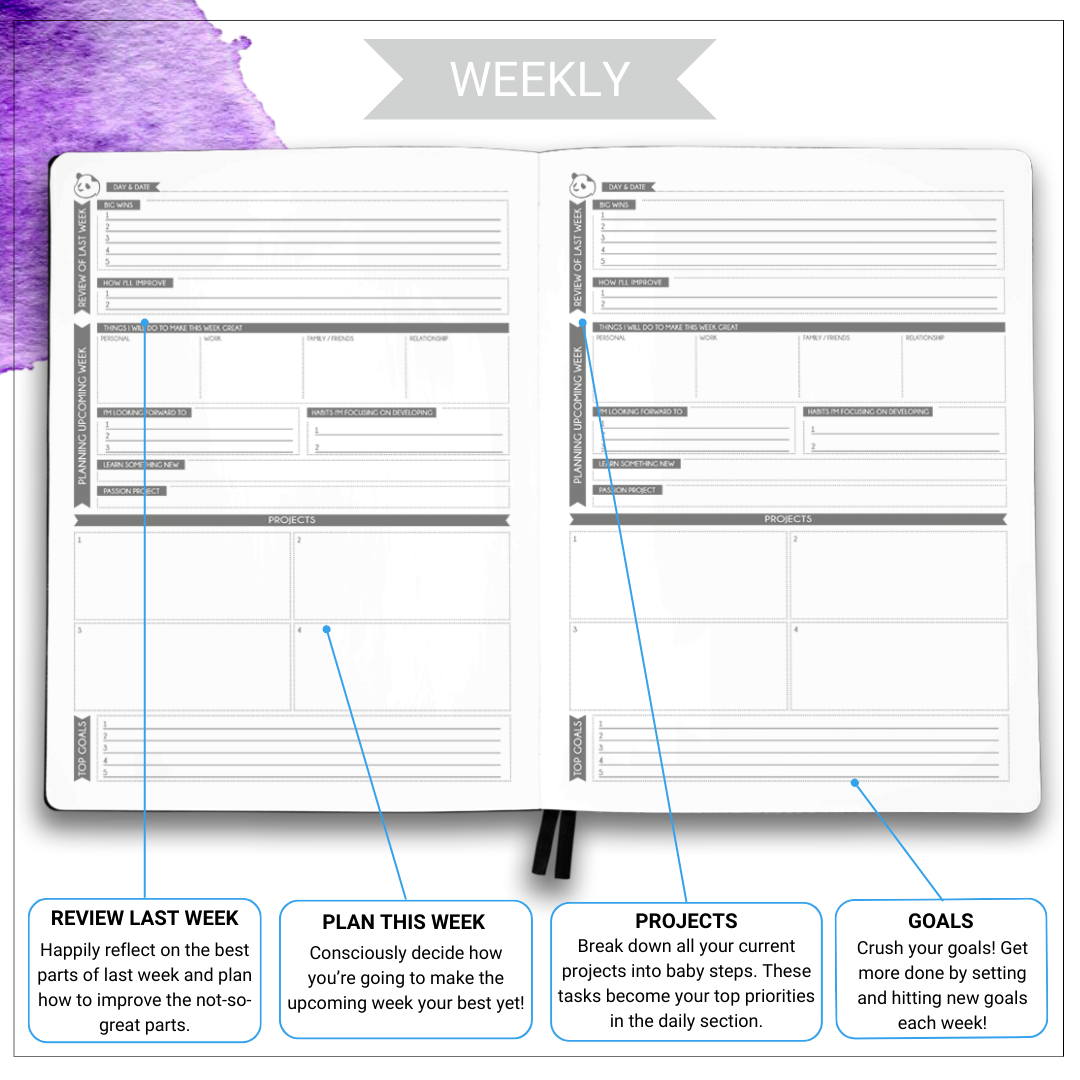 Panda Planner Pro: Undated -Month Pro Planner for Goals