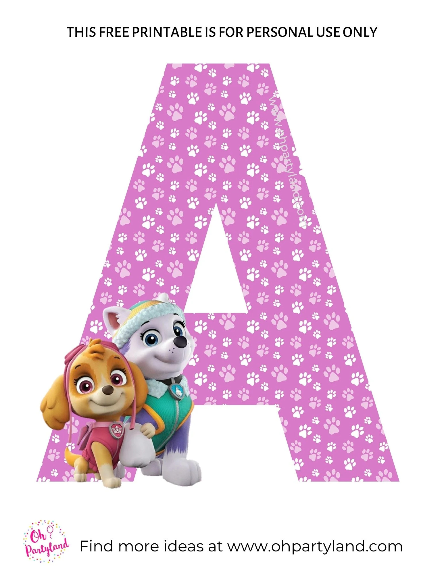 Paw Patrol Alphabet Letters - Skye and Everest - oh partyland